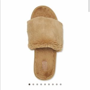 Skims slides- Camel